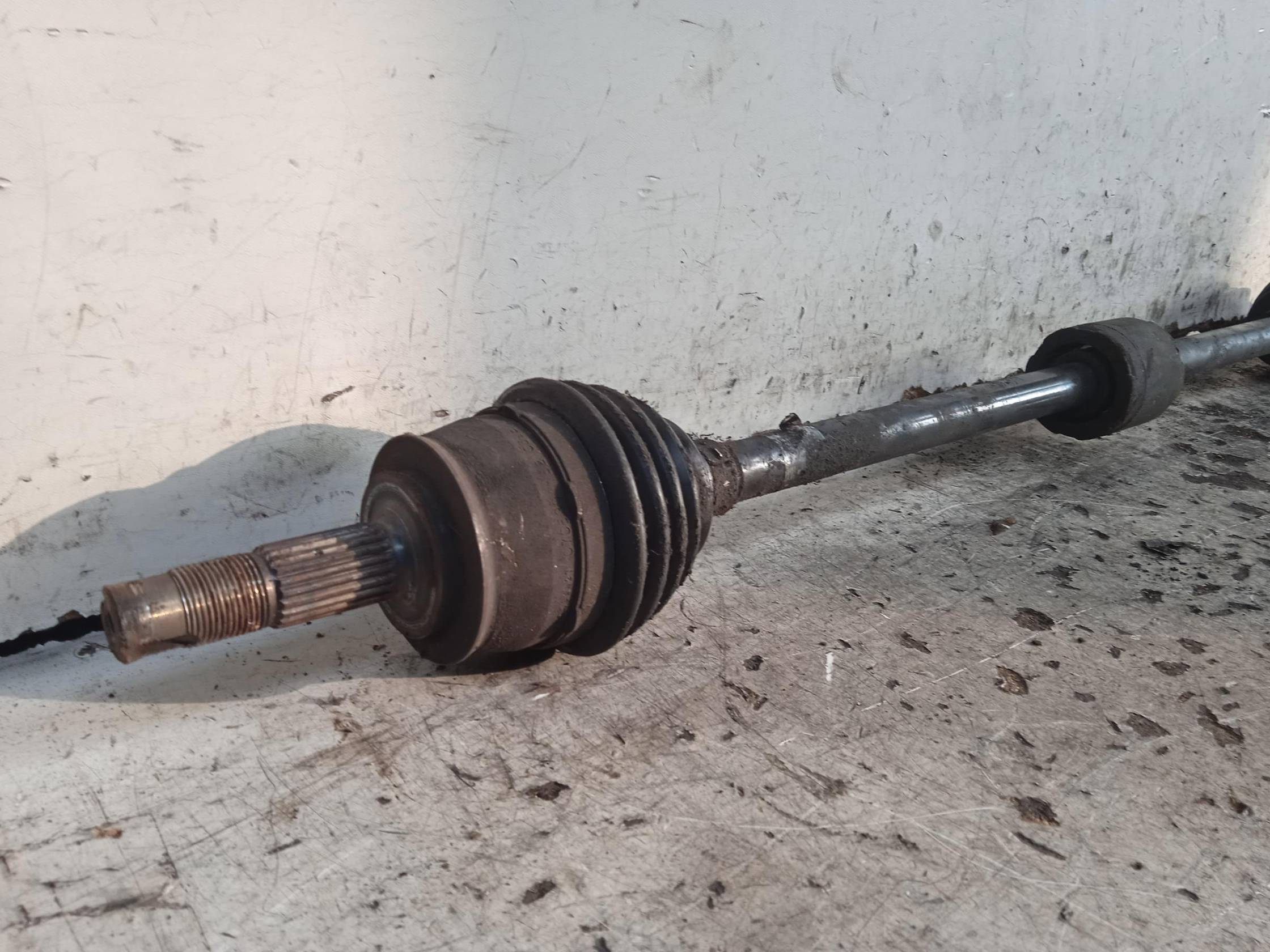 Semialbero ant. compl. dx.